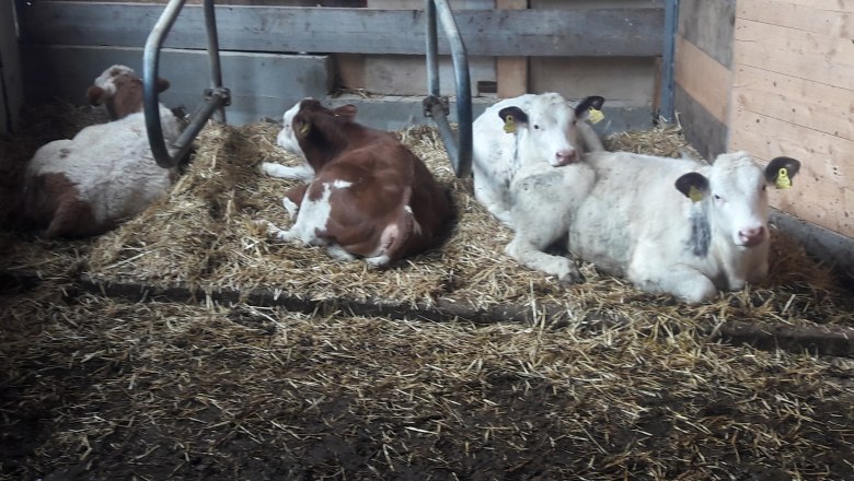 20210418_105406, © Heidi