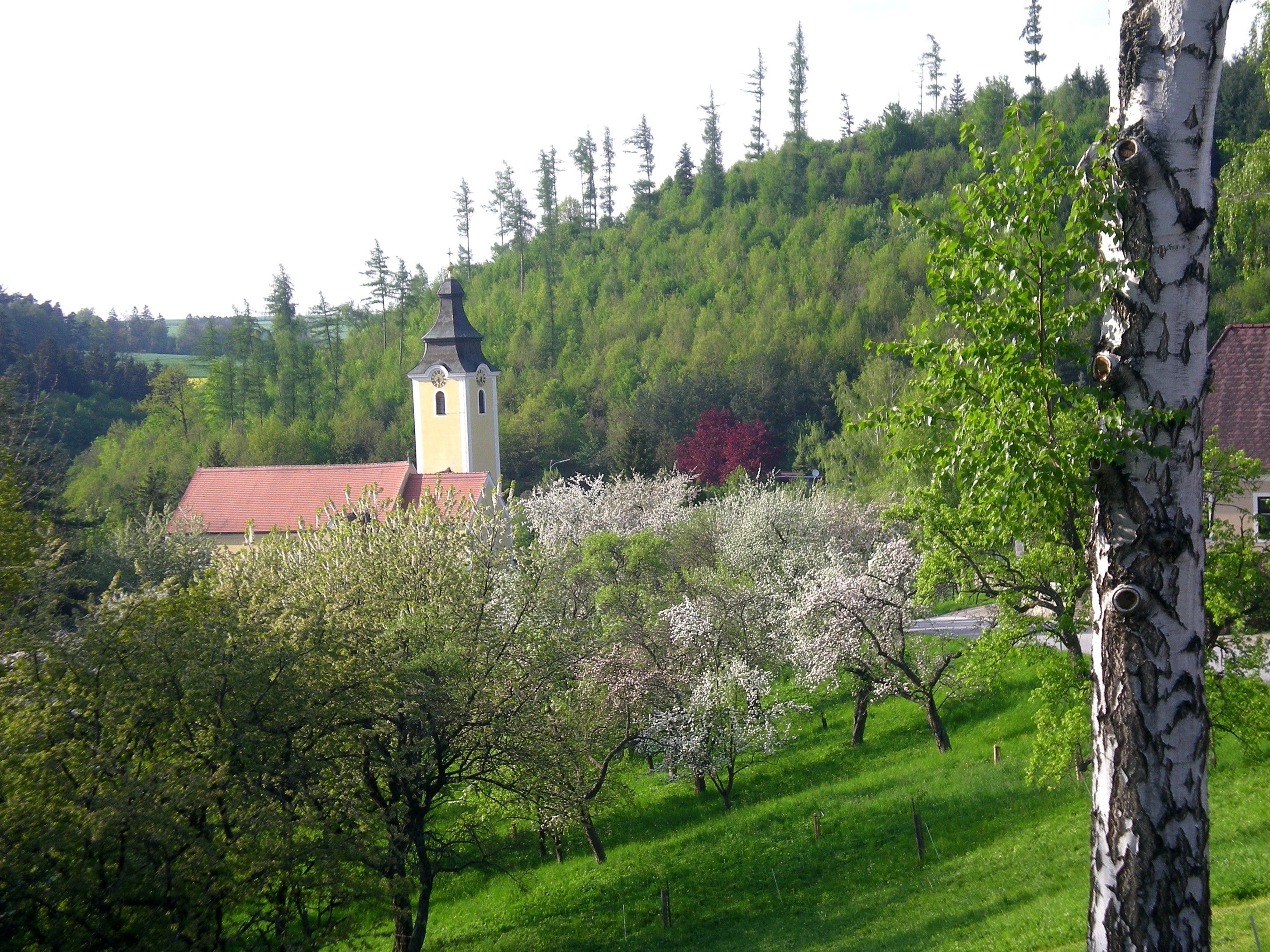 Landschaft mit Kirche und blühenden Bäumen in Messern.