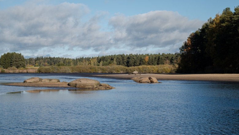 Ein Teich, umgeben von Wald und Felsen im Wasser.