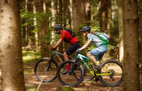 Zwei Mountainbiker fahren durch einen Wald auf einem Trail.