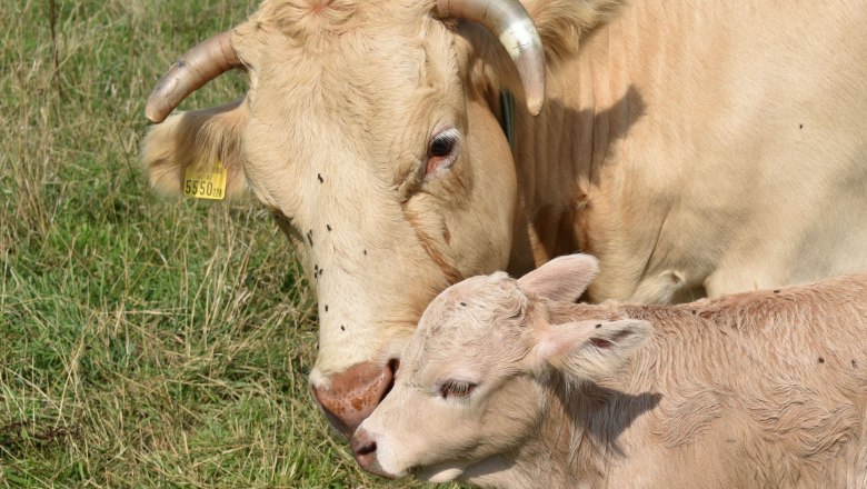 Urlaub am Bauernhof bei Fam. Wei&szlig;kircher, &copy; Familie Wei&szlig;kircher