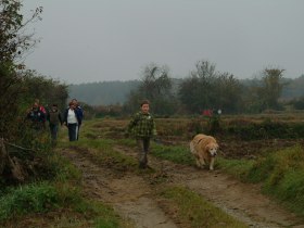 Spießberg Wanderweg, © Waldviertel Tourismus
