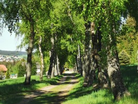 Diebsweg, Nr. 43, &copy; Gemeinde Gutenbrunn