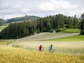 Granittrail, Ruine Arbesbach, © Unknown
