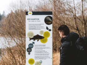 Der Teichwanderweg l&auml;dt zu einem beschaulichen Winterspaziergang ein, umgeben von der ruhigen Sch&ouml;nheit der Natur. Die schneebedeckten B&auml;ume und der glitzernde Teich schaffen eine friedliche Atmosph&auml;re, die zum Verweilen einl&auml;dt.