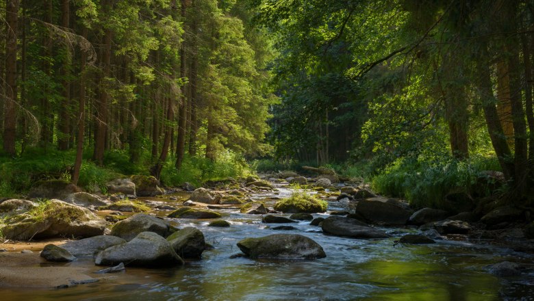 Zwettltal, © Matthias Schickhofer