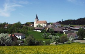 Landschaft mit Kirche und Dorf im Hintergrund, umgeben von bl&uuml;henden B&auml;umen und Wiesen.