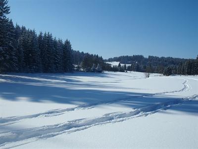 Verschneite Landschaft mit Schneeschuhspuren und Wald im Hintergrund.