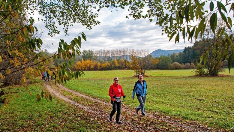 Bachwiesenweg, © Gottfried Grossinger