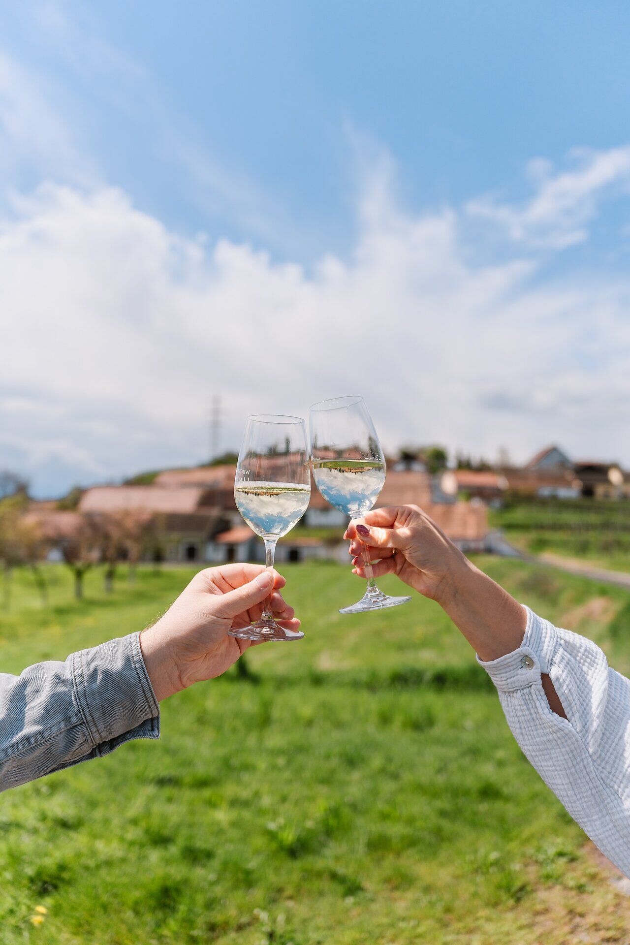 Inmitten der sanften Hügel des Kamptals stoßen zwei Freunde mit Gläsern auf die Schönheit des Weinfrühlings an. Die strahlende Sonne und der weite Blick über die Weinreben schaffen eine unvergessliche Atmosphäre der Freude und des Genusses. Hier wird jeder Schluck zum Erlebnis, während die Natur in voller Blüte steht.