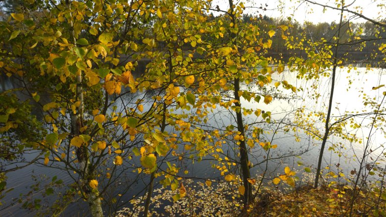 Bergwerksee Langau, © Waldviertel Tourismus, Matthias Schickhofer