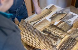 Die kunstvollen Stücke aus Fischleder erzählen von traditionellem Handwerk und der Verbindung zur Natur. Jedes Detail spiegelt die Schönheit und Einzigartigkeit der Region wider, während die sanften Farben und Texturen die Sinne ansprechen. Ein Besuch hier lässt die Herzen von Kunst- und Naturliebhabern höher schlagen.