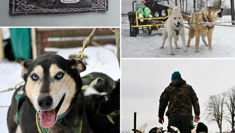 Spüre die Magie des Nordens - Huskystadl hautnah erleben, © Huskystadl