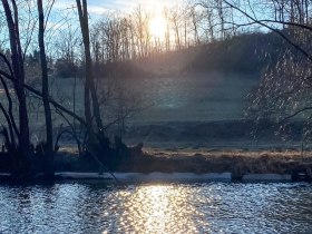Sonnenuntergang hinter B&auml;umen am Waldrand mit einem Fluss im Vordergrund.