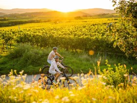 Radfahren im Kamptal, © POV Robert Herbst