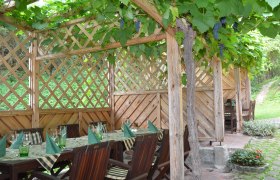 Ein Gastgarten mit Holztischen und -stühlen, überdacht von einem Laubengang mit Weinreben.