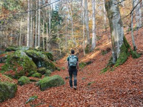 Ein sanfter Pfad schl&auml;ngelt sich durch das herbstliche Laub, w&auml;hrend die warmen Farben der Bl&auml;tter eine einladende Atmosph&auml;re schaffen. Die hohen B&auml;ume, umgeben von moosbedeckten Steinen, laden dazu ein, die Ruhe der Natur zu genie&szlig;en und den Alltag hinter sich zu lassen.