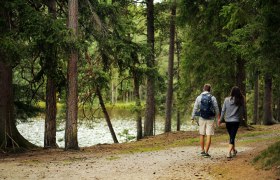Ein romantischer Spaziergang entlang des ruhigen Wassers des Edlesberger Teichs l&auml;dt dazu ein, die frische Luft und die umgebende Natur zu genie&szlig;en. Hohe B&auml;ume spenden Schatten und schaffen eine friedliche Atmosph&auml;re, w&auml;hrend das sanfte Pl&auml;tschern des Wassers zur Entspannung einl&auml;dt.