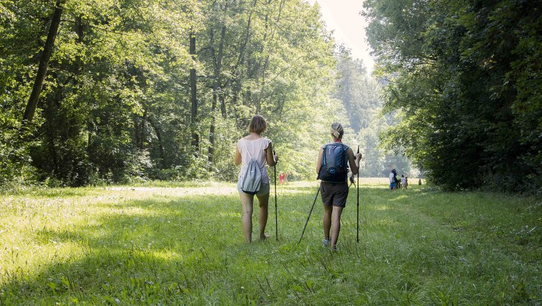 Wanderer auf der Gabrielentalwiese