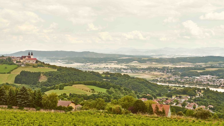 Landschaft mit Blick auf Maria Taferl und das Donautal, grüne Felder und Hügel im Vordergrund, Fluss und Berge im Hintergrund.