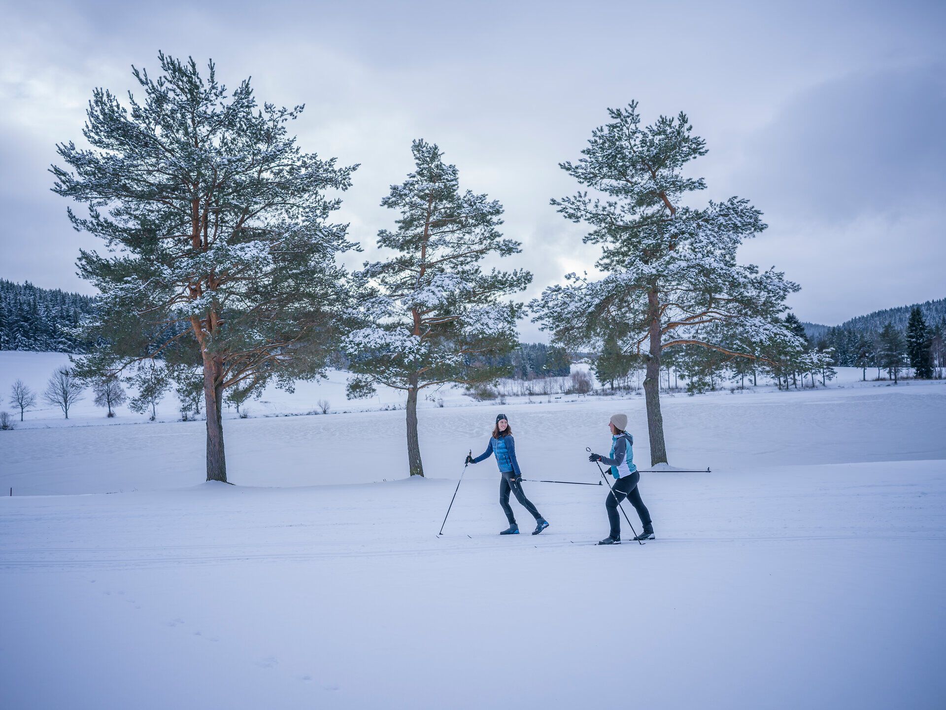Zwei Personen beim Skilanglauf auf einer verschneiten Landschaft mit Bäumen im Hintergrund.