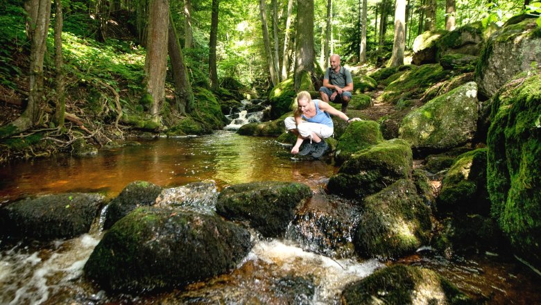 Ysperklamm, © Waldviertel Tourismus, ishootpeople.at