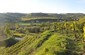 Naturpark Kamptal-Schönberg, © Franz Gangelmayer