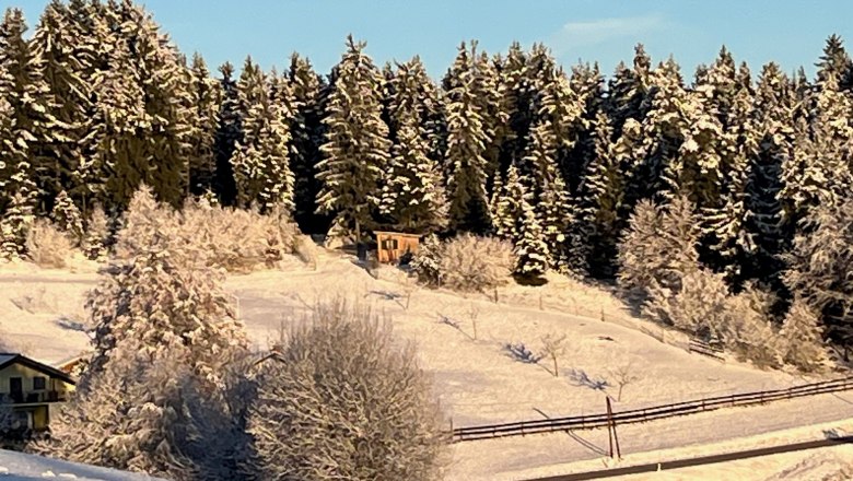 Verschneite Landschaft mit Wald und kleinem Haus im Hintergrund.