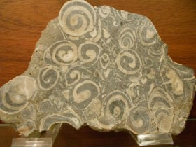 Mineralienraum, © Margit Weikartschläger