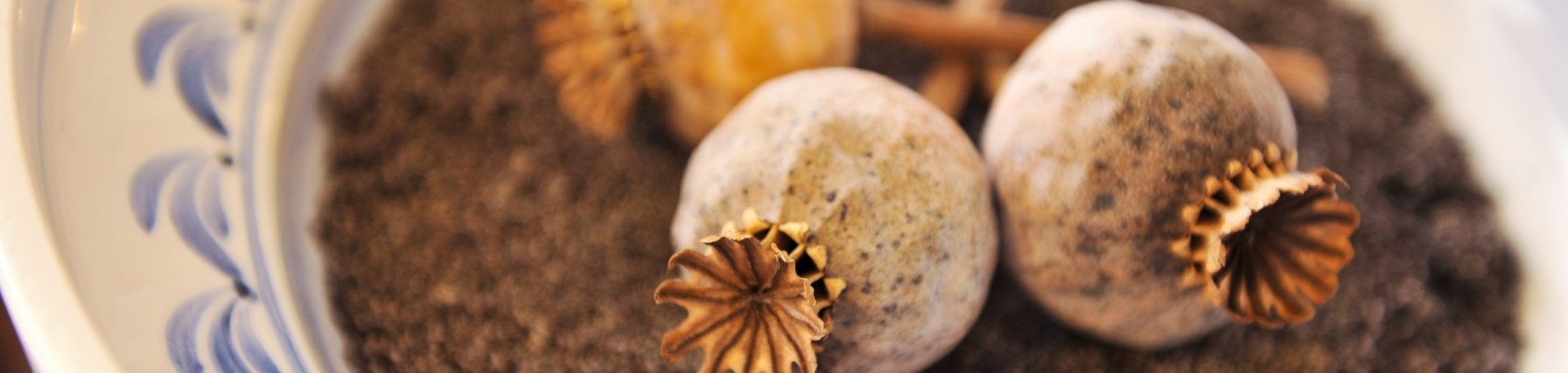 Mohn, © Waldviertel Tourismus, Robert Herbst