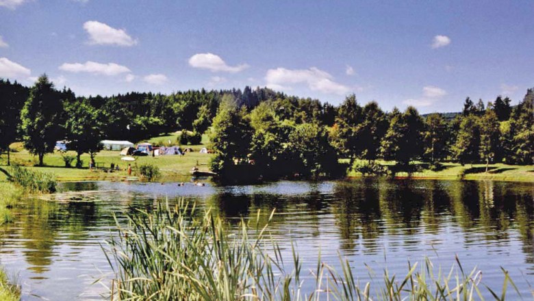 An idyllic campsite with tents on the shore of a lake, surrounded by trees and meadows under a blue sky.