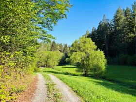 Wurmbrand, © Dr. Markus Peham