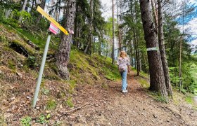 Gschwendt, © Dr. Markus Peham