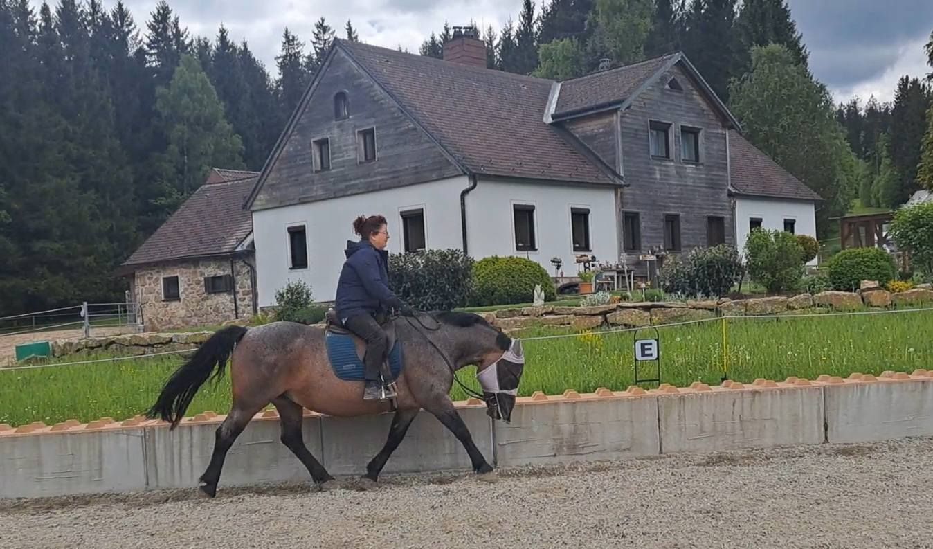 Eine Person reitet auf einem Pferd vor einem großen Haus mit Garten.