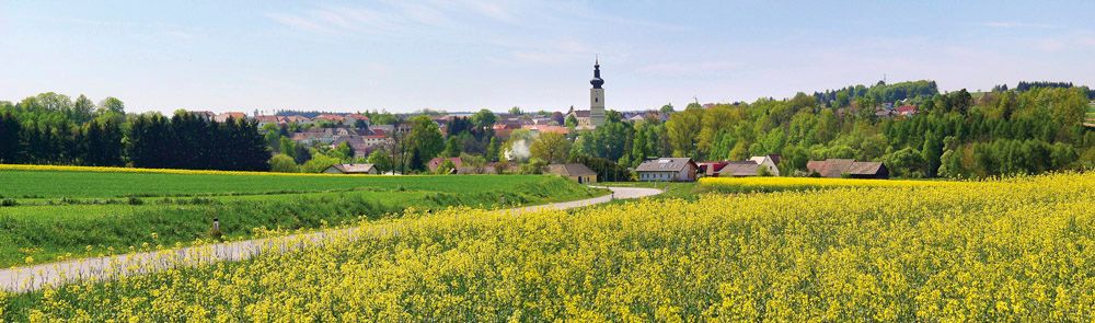Landschaft mit gelbem Rapsfeld, Dorf im Hintergrund und Kirchturm.