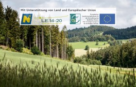 Weinsbergerwald Radweg, &copy; Waldviertel Tourismus