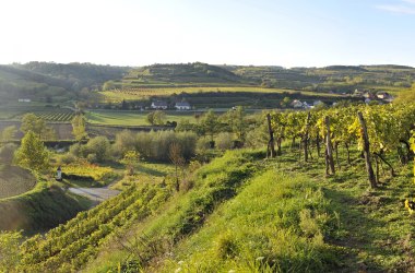 Naturpark Kamptal-Schönberg, © Franz Gangelmayer