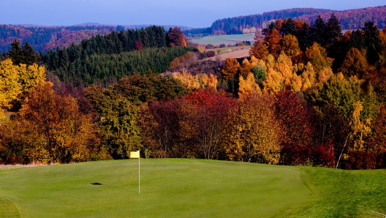Golfplatz mit Herbstbäumen im Hintergrund, gelbe Fahne auf dem Grün.