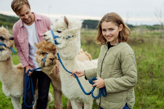 Alpaka, © Niederösterreich Werbung/ Carolin Unrath