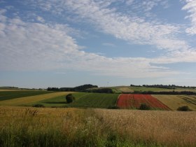 Blick Richtung Ple&szlig;berg-Ottenschlag, &copy; Martina Fuchs-K&ouml;ck