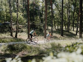 Zwei Radfahrer fahren auf einem Waldweg im Naturpark Blockheide.