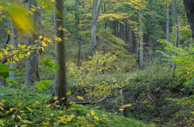 Gänsgraben bei Burgschleinitz, © Waldviertel Tourismus, Matthias Schickhofer