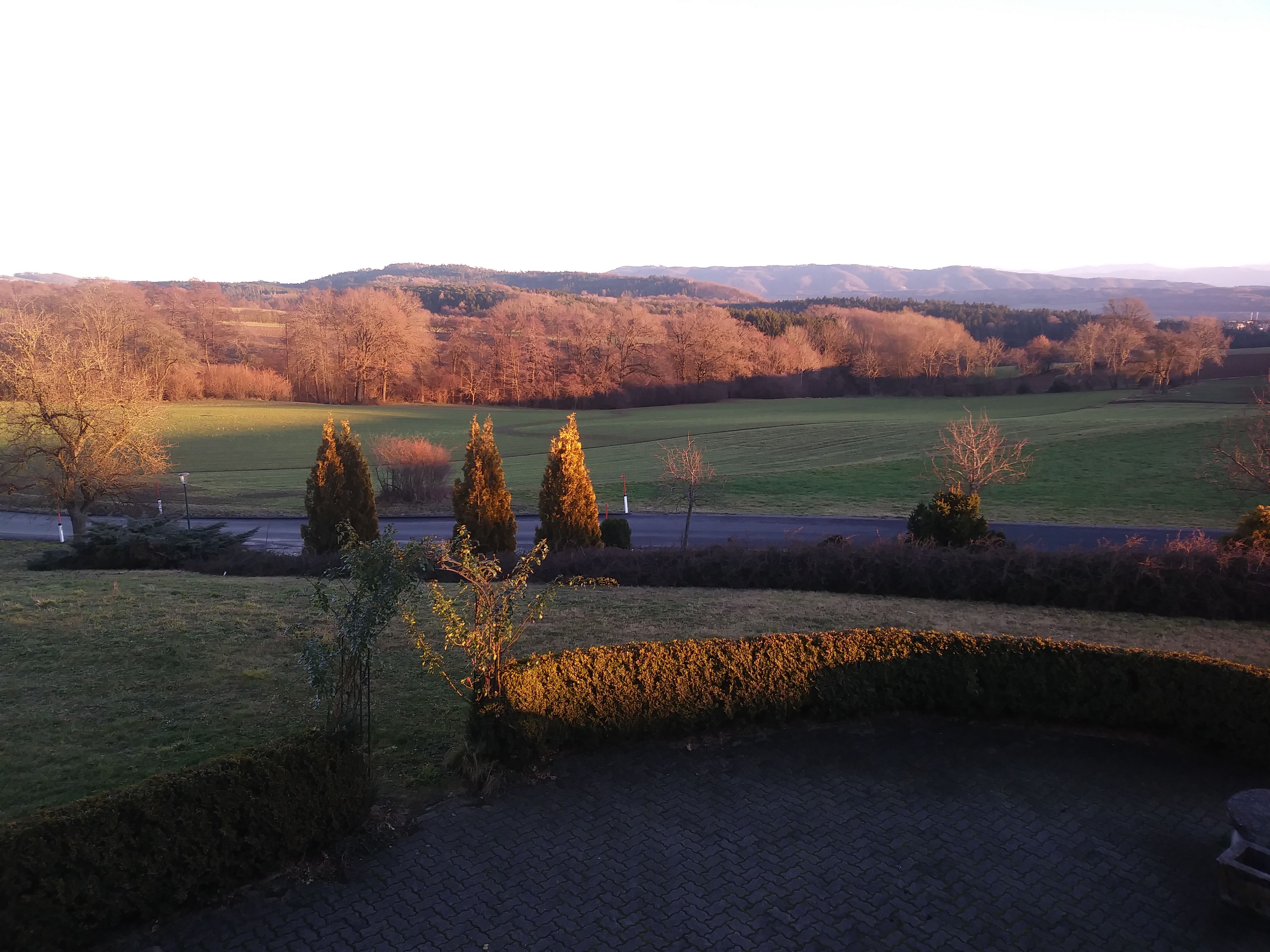 Landschaft mit Wiesen, Bäumen und Hügeln im Sonnenuntergang.