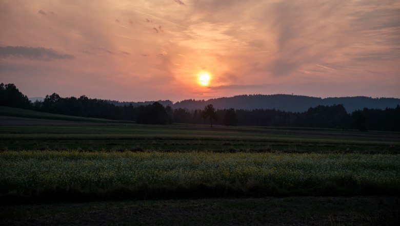 Zur Ruhe kommen, © Klaus Ewert, Fotograf Laurin Buitmann