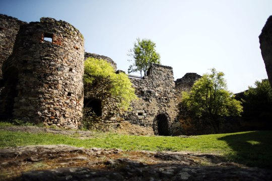 Ruine Schauenstein, © Waldviertel Tourismus, weinfranz