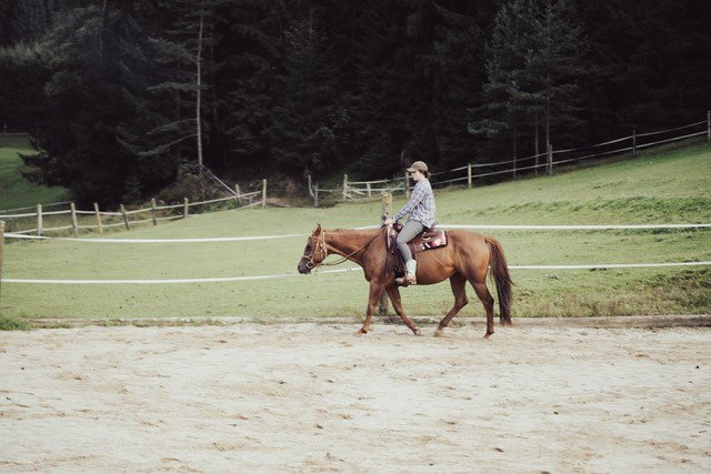 Horse country, © Eichbergers