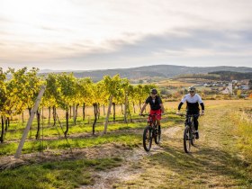 Weinberg-Strecke, &copy; POV