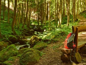 Ruhepause in der Steinbachklamm zwischen Marbach und Maria Taferl, &copy; Donau Donau Nieder&ouml;sterreich / Klaus Engelmayer