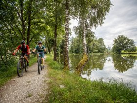 Zwei Mountainbiker genie&szlig;en die frische Luft und die malerische Landschaft entlang eines ruhigen Weges, der von hohen B&auml;umen ges&auml;umt ist. Der glitzernde See spiegelt die Wolken und das satte Gr&uuml;n der Umgebung wider, w&auml;hrend die beiden Radfahrer mit Freude und Energie in die Natur eintauchen.