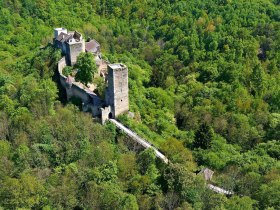 Ruine Kaja, &copy; Nationalpark Thayatal / &Uuml;bl